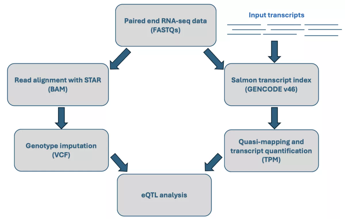 Workflow fig1