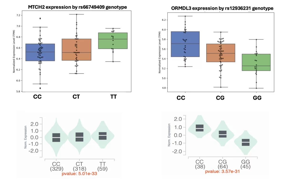 Eqtl fig4